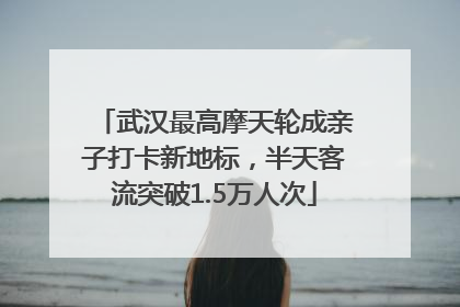 武汉最高摩天轮成亲子打卡新地标，半天客流突破1.5万人次