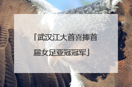 武汉江大首喜捧首届女足亚冠冠军