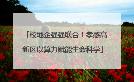 校地企强强联合！孝感高新区以算力赋能生命科学