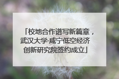校地合作谱写新篇章，武汉大学·咸宁低空经济创新研究院签约成立