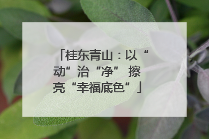 桂东青山：以“动”治“净” 擦亮“幸福底色”