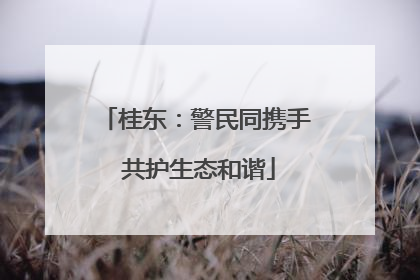 桂东：警民同携手 共护生态和谐