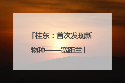 桂东：首次发现新物种——宽距兰