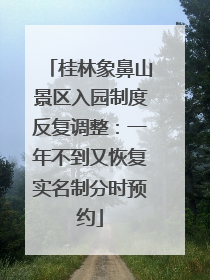 桂林象鼻山景区入园制度反复调整：一年不到又恢复实名制分时预约