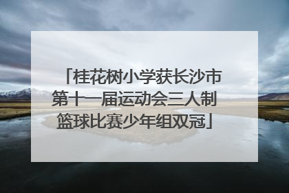 桂花树小学获长沙市第十一届运动会三人制篮球比赛少年组双冠