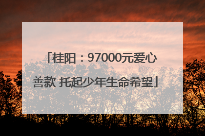 桂阳：97000元爱心善款 托起少年生命希望
