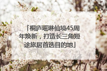 桐庐瑶琳仙境45周年焕新，打造长三角短途旅居首选目的地