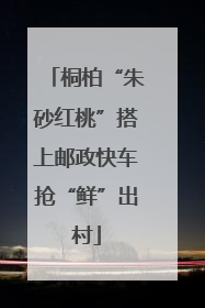 桐柏“朱砂红桃”搭上邮政快车抢“鲜”出村