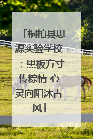 桐柏县思源实验学校：黑板方寸传粽情 心灵向阳沐古风