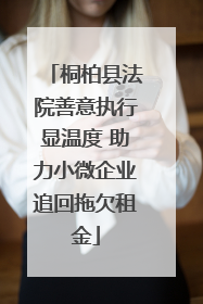 桐柏县法院善意执行显温度 助力小微企业追回拖欠租金