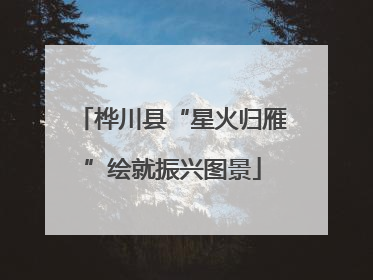 桦川县“星火归雁”绘就振兴图景
