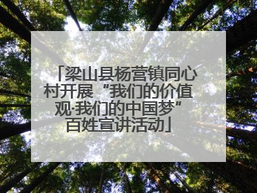 梁山县杨营镇同心村开展“我们的价值观·我们的中国梦”百姓宣讲活动