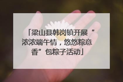 梁山县韩岗镇开展“浓浓端午情，悠悠粽意香”包粽子活动