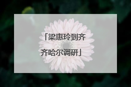 梁惠玲到齐齐哈尔调研