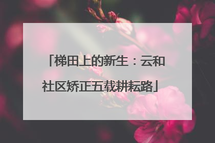 梯田上的新生：云和社区矫正五载耕耘路