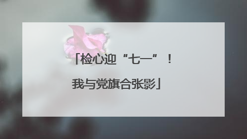 检心迎“七一”！我与党旗合张影