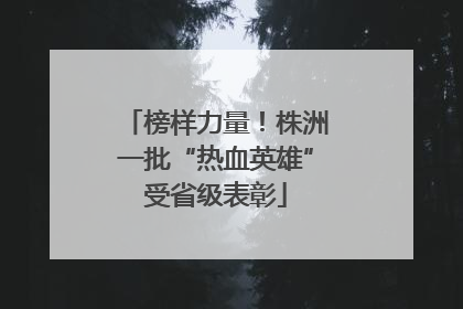 榜样力量！株洲一批“热血英雄”受省级表彰