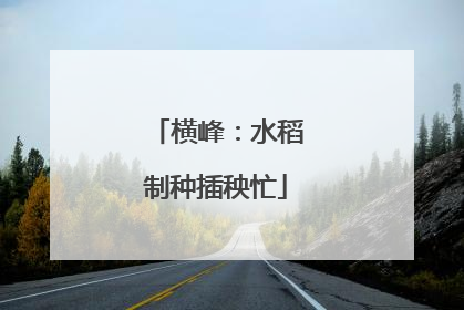 横峰：水稻制种插秧忙