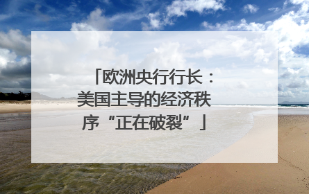 欧洲央行行长：美国主导的经济秩序“正在破裂”