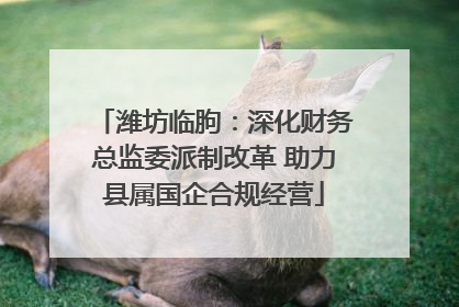 潍坊临朐：深化财务总监委派制改革 助力县属国企合规经营