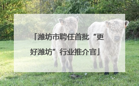 潍坊市聘任首批“更好潍坊”行业推介官