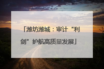 潍坊潍城：审计“利剑”护航高质量发展