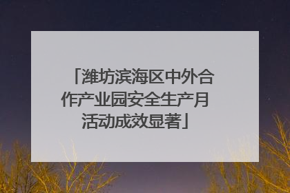 潍坊滨海区中外合作产业园安全生产月活动成效显著