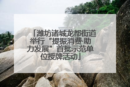 潍坊诸城龙都街道举行“提振消费·助力发展”首批示范单位授牌活动