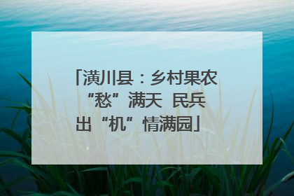 潢川县：乡村果农“愁”满天  民兵出“机”情满园