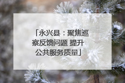 永兴县：聚焦巡察反馈问题 提升公共服务质量
