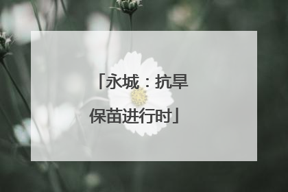 永城：抗旱保苗进行时