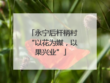 永宁后杆柄村“以花为媒，以果兴业”