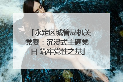 永定区城管局机关党委：沉浸式主题党日 筑牢党性之基