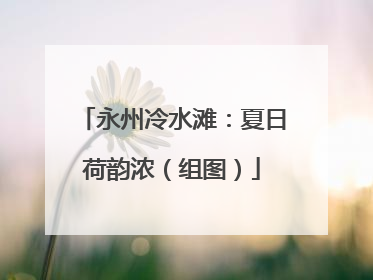 永州冷水滩：夏日荷韵浓（组图）