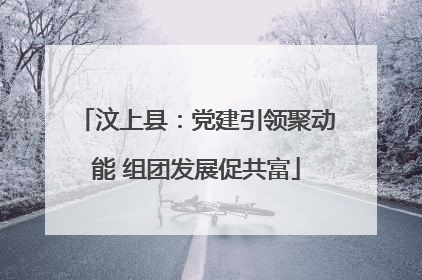 汶上县：党建引领聚动能 组团发展促共富