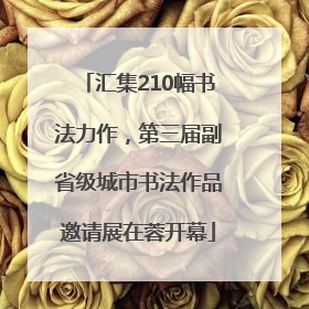 汇集210幅书法力作，第三届副省级城市书法作品邀请展在蓉开幕