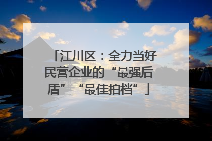 江川区：全力当好民营企业的“最强后盾”“最佳拍档”