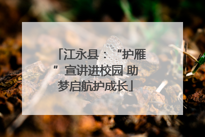 江永县：“护雁”宣讲进校园 助梦启航护成长