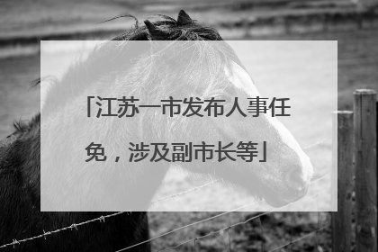 江苏一市发布人事任免，涉及副市长等