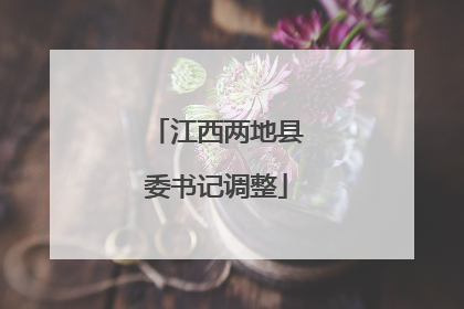 江西两地县委书记调整