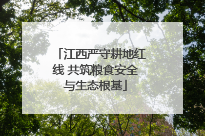 江西严守耕地红线 共筑粮食安全与生态根基