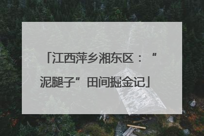 江西萍乡湘东区：“泥腿子”田间掘金记
