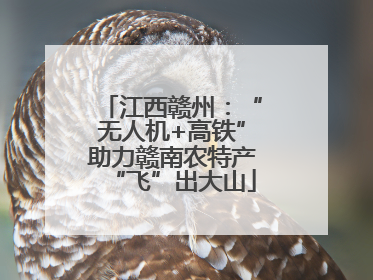 江西赣州：“无人机+高铁”助力赣南农特产“飞”出大山