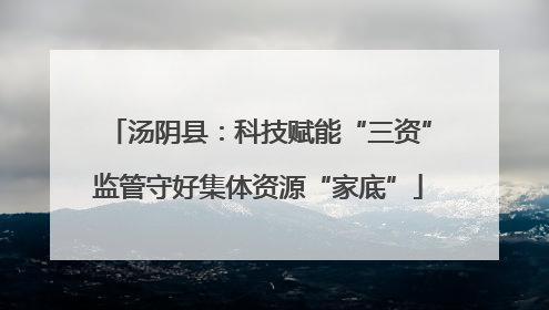 汤阴县：科技赋能“三资”监管守好集体资源“家底”