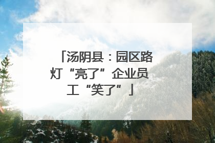 汤阴县：园区路灯“亮了”企业员工“笑了”