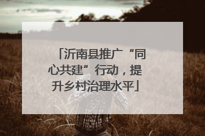 沂南县推广“同心共建”行动，提升乡村治理水平