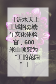 沂水天上王城招募端午文化体验官，600米山顶变为“王的花园”