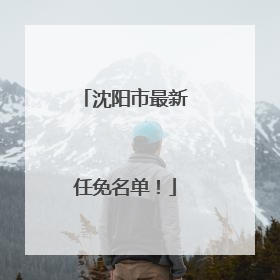 沈阳市最新任免名单！