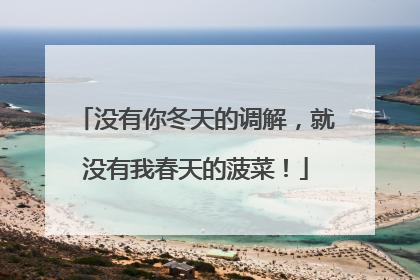 没有你冬天的调解，就没有我春天的菠菜！