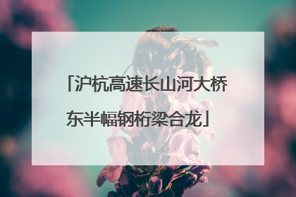 沪杭高速长山河大桥东半幅钢桁梁合龙